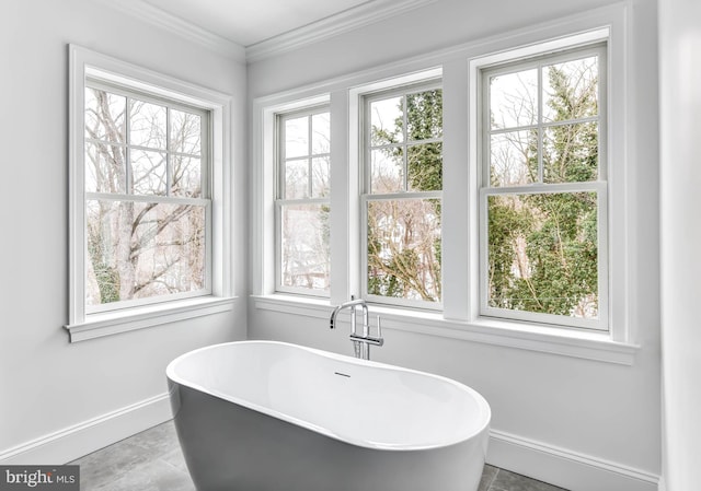 bathroom with a washtub and ornamental molding