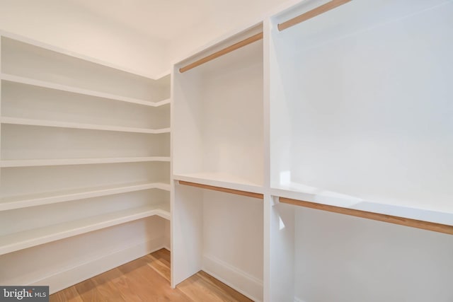 spacious closet with hardwood / wood-style floors