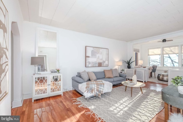 living room featuring hardwood / wood-style floors