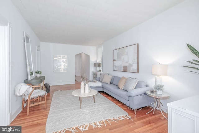 living room featuring light hardwood / wood-style flooring