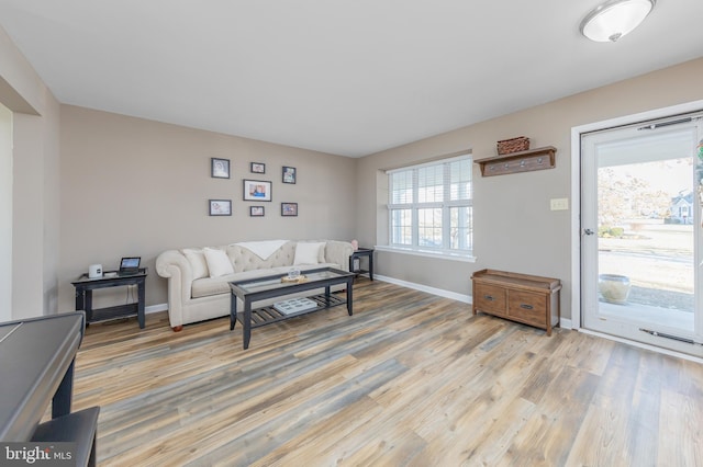 living room with hardwood / wood-style floors