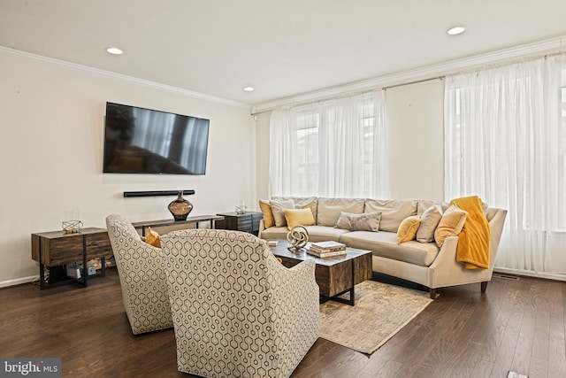 living room featuring crown molding and dark hardwood / wood-style flooring