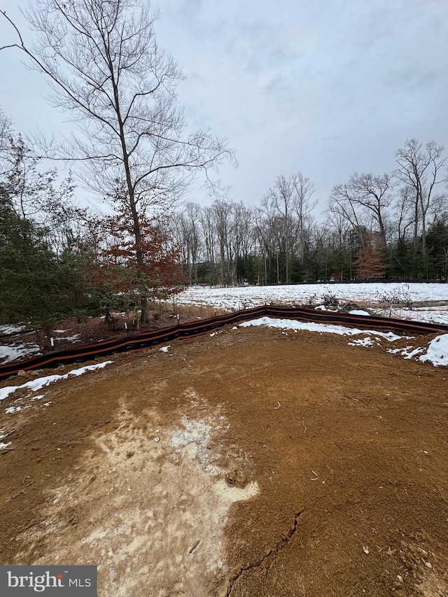 view of yard covered in snow