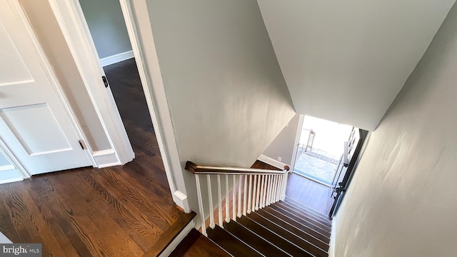 stairs featuring hardwood / wood-style flooring