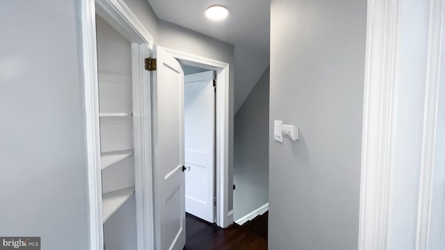 corridor with dark hardwood / wood-style flooring