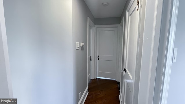 corridor with dark wood-type flooring