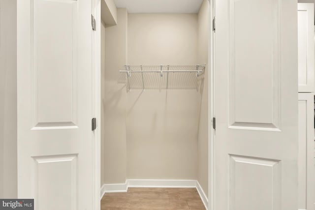 spacious closet with light hardwood / wood-style flooring