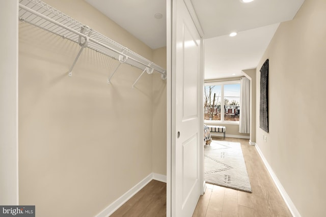 walk in closet with hardwood / wood-style flooring