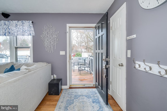 entryway featuring hardwood / wood-style flooring