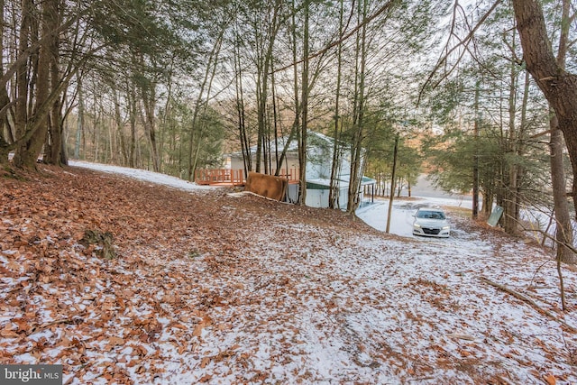 view of snowy yard