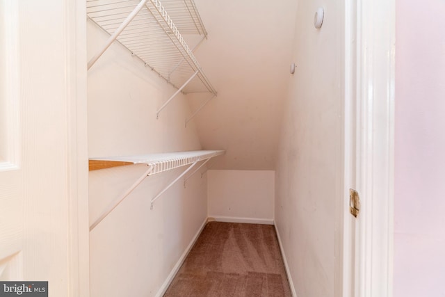 walk in closet featuring carpet and lofted ceiling