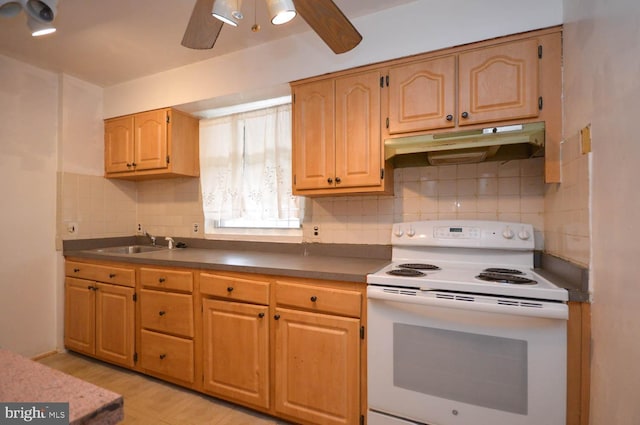 kitchen featuring tasteful backsplash, ceiling fan, white electric range oven, and sink