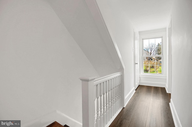 hallway with dark hardwood / wood-style floors