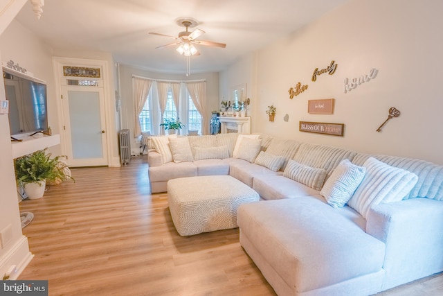 living room featuring radiator, ceiling fan, and light hardwood / wood-style floors