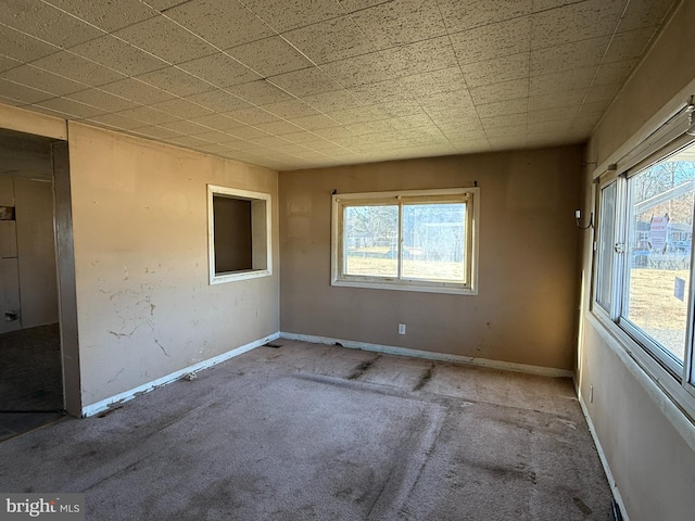 empty room featuring carpet and plenty of natural light