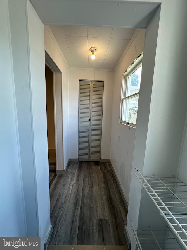 corridor featuring dark hardwood / wood-style floors