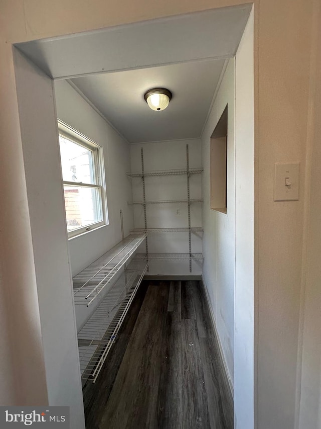 spacious closet with dark wood-type flooring