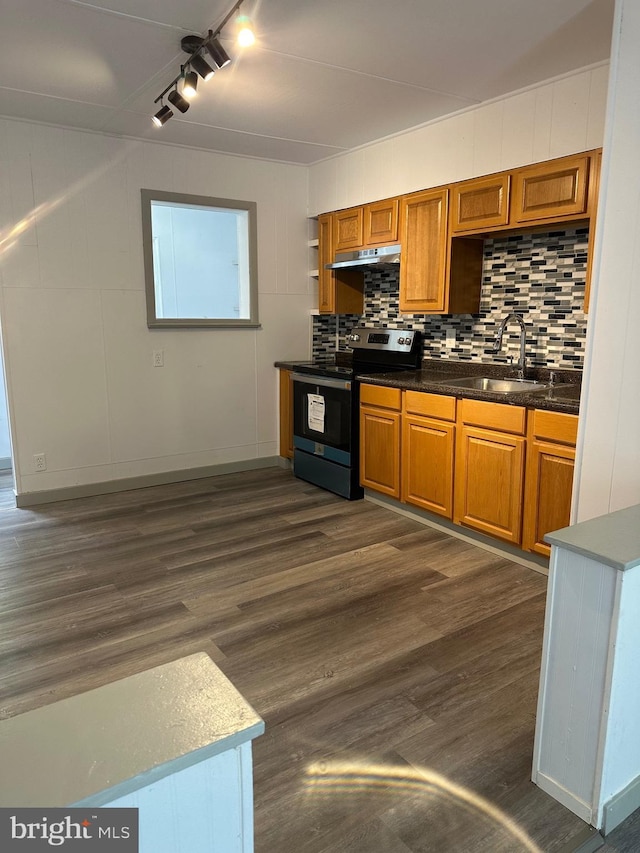 kitchen featuring tasteful backsplash, sink, stainless steel electric stove, dark hardwood / wood-style flooring, and rail lighting