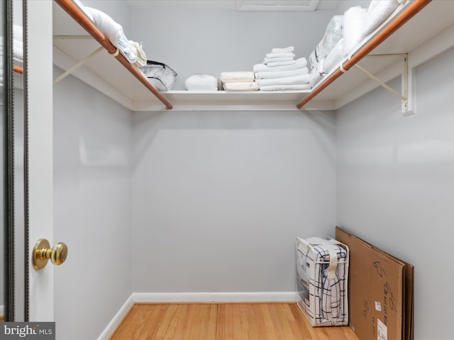 spacious closet with wood-type flooring