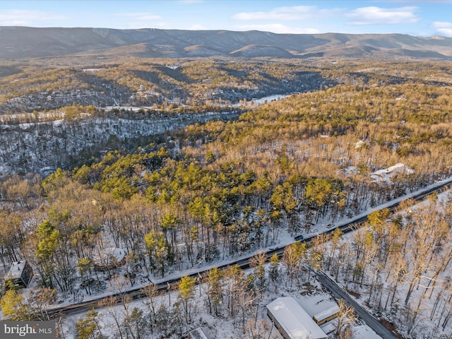 bird's eye view featuring a mountain view