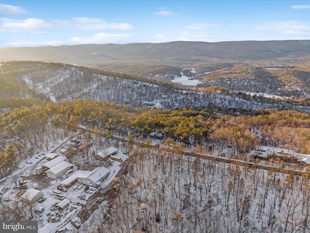 snowy aerial view featuring a mountain view