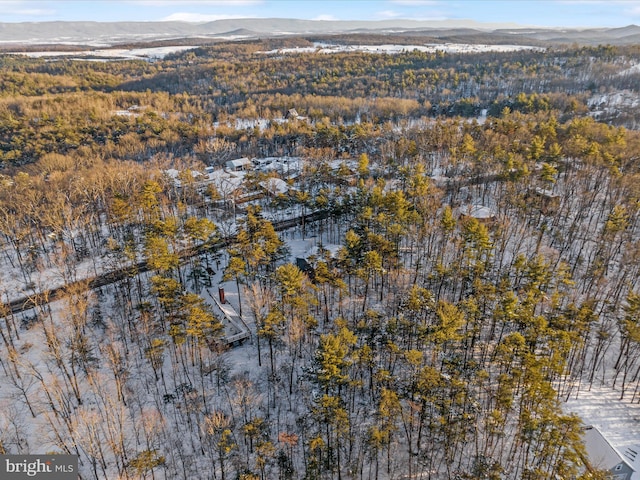 drone / aerial view with a mountain view