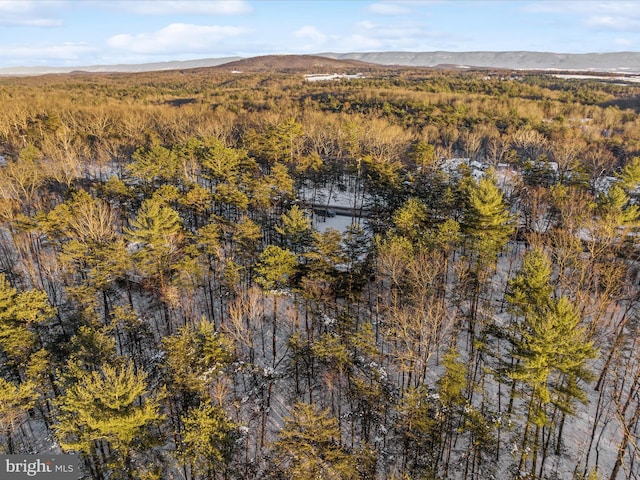 bird's eye view featuring a mountain view