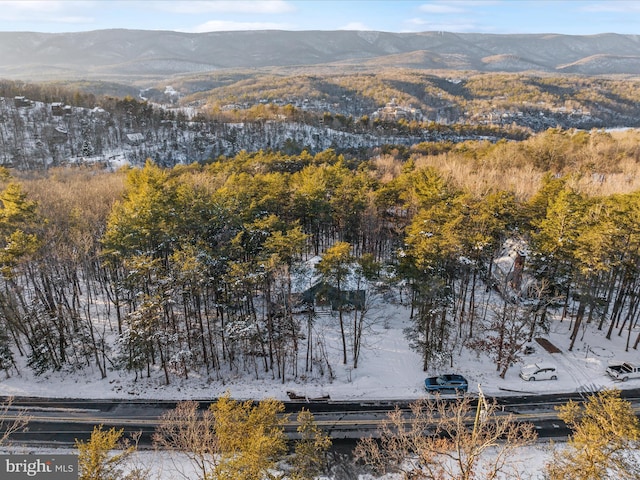 snowy aerial view with a mountain view