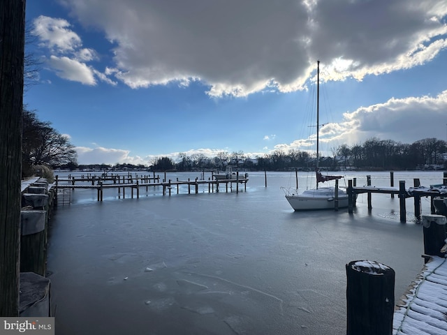 dock area with a water view