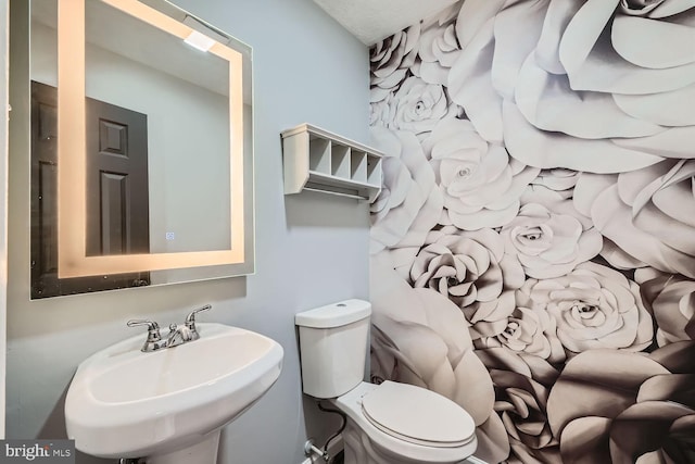 bathroom featuring toilet and sink