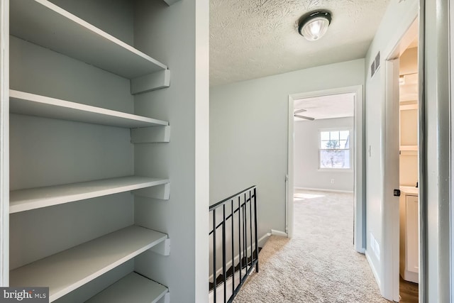 hallway featuring carpet floors and a textured ceiling