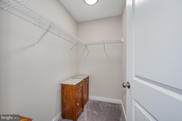 spacious closet with carpet flooring