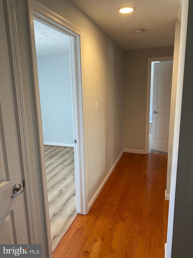 corridor featuring a textured ceiling and light hardwood / wood-style flooring