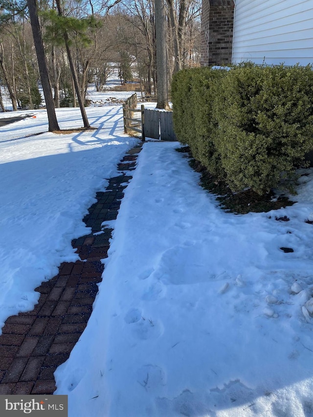 view of yard covered in snow