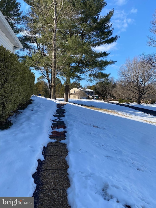 view of yard layered in snow