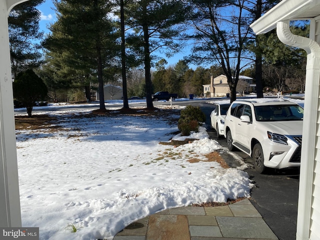 view of yard layered in snow