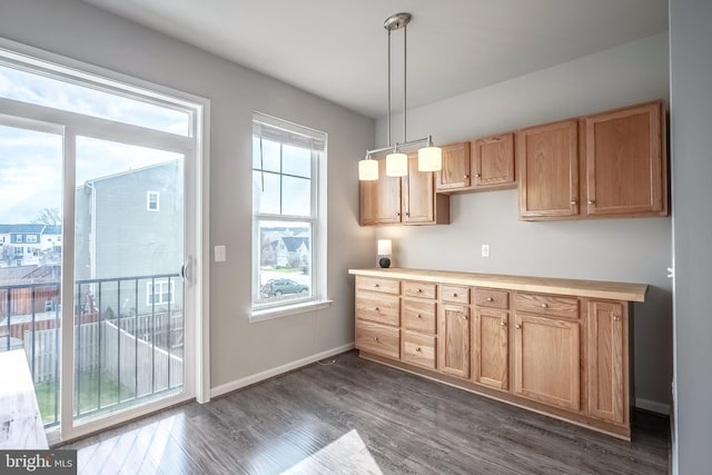 kitchen featuring decorative light fixtures and dark wood-type flooring