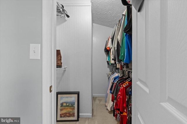 walk in closet with light colored carpet