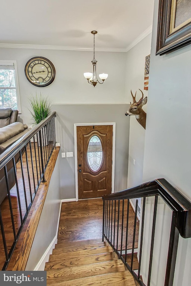 foyer entrance with wood-type flooring, ornamental molding, and a notable chandelier