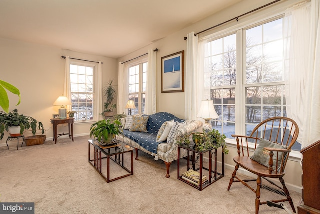 living area with carpet floors