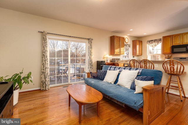 living room featuring a healthy amount of sunlight and light hardwood / wood-style floors