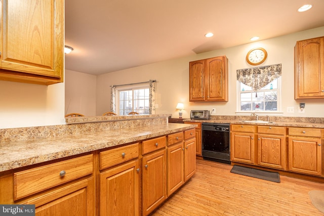 kitchen featuring light hardwood / wood-style floors, black dishwasher, sink, and light stone countertops