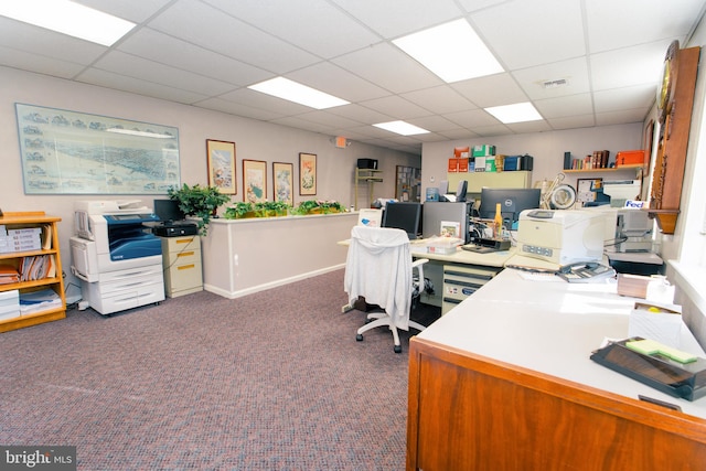 carpeted home office featuring a paneled ceiling