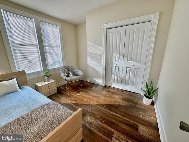 bedroom featuring dark hardwood / wood-style flooring and a closet