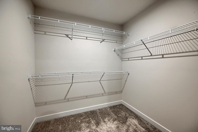 walk in closet featuring carpet