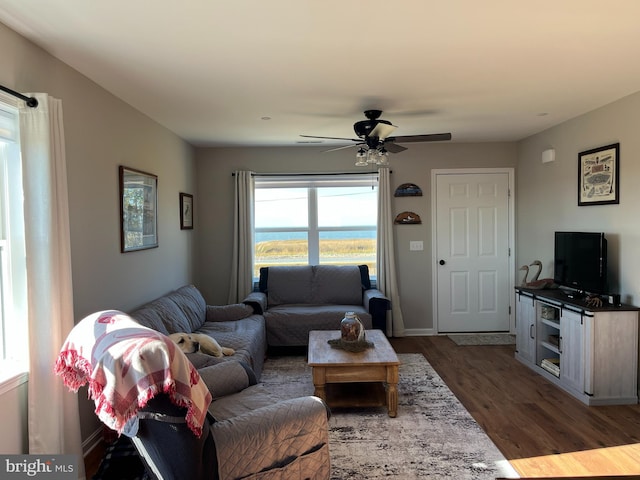 living room featuring ceiling fan and dark hardwood / wood-style floors