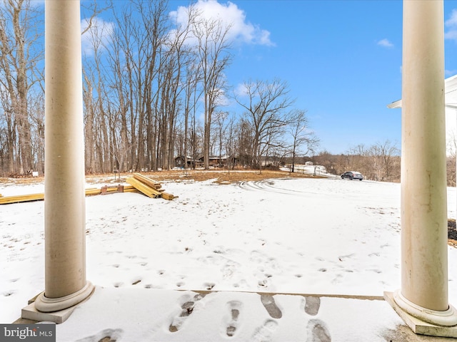 view of yard covered in snow