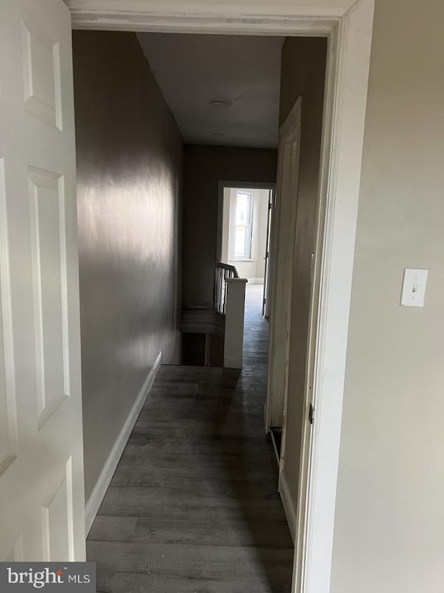 hallway featuring dark hardwood / wood-style flooring