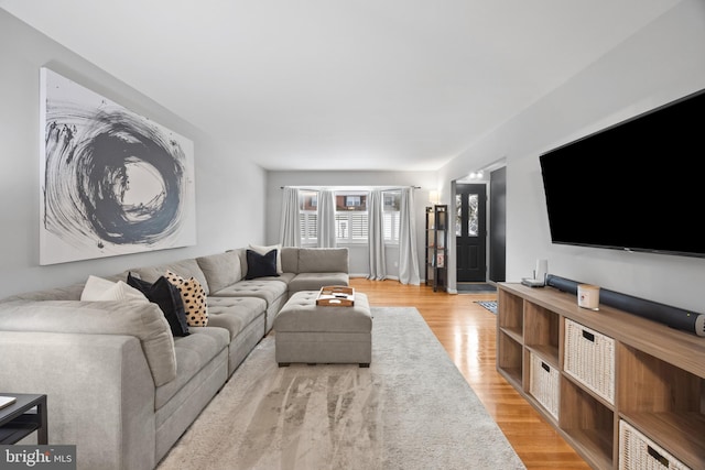 living room with light wood-type flooring