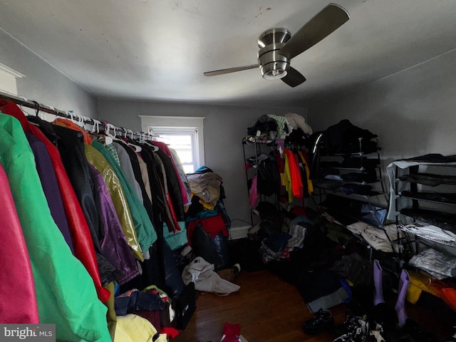 walk in closet featuring ceiling fan and hardwood / wood-style floors